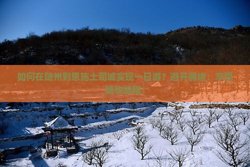 随州到恩施土司城一日