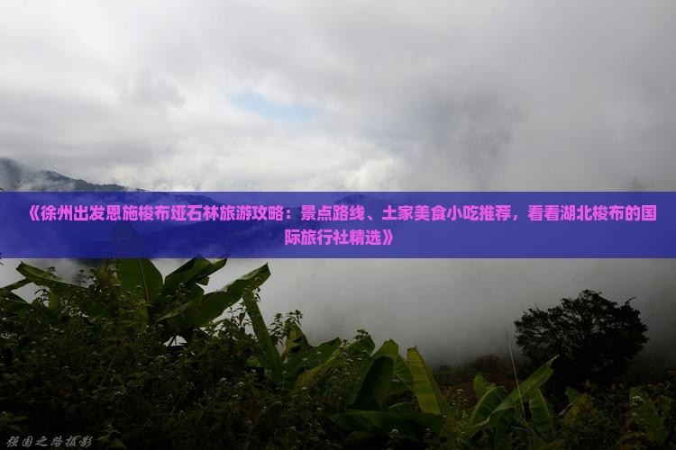徐州去恩施梭布垭石林旅游小吃
