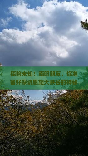 南阳到恩施大峡谷旅行社