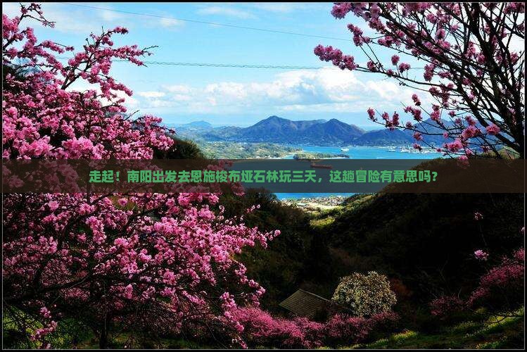 南阳去恩施梭布垭石林三日游