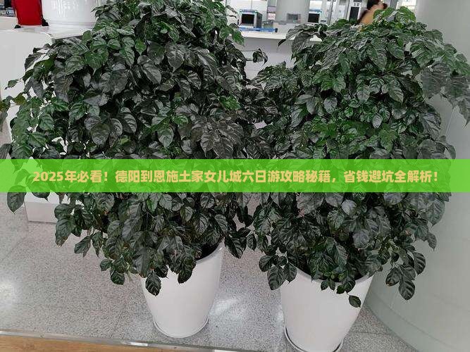 德阳到恩施土家女儿城六日游
