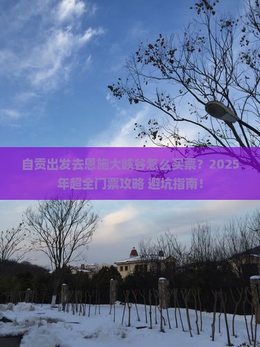 自贡去恩施大峡谷门票