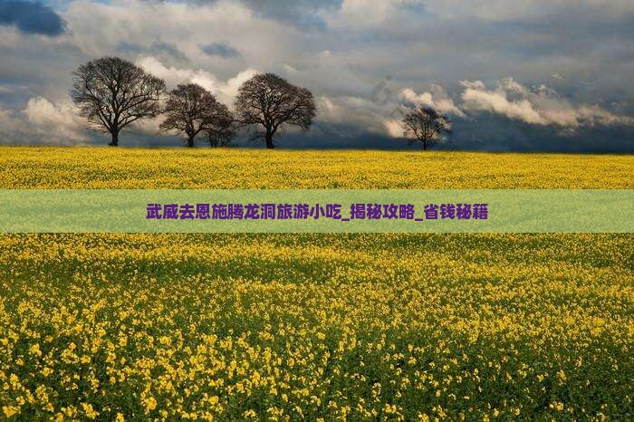 武威去恩施腾龙洞旅游小吃