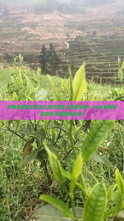 资阳去恩施土家女儿城门票