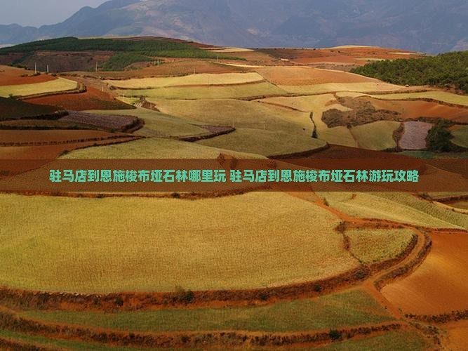 驻马店到恩施梭布垭石林哪里玩