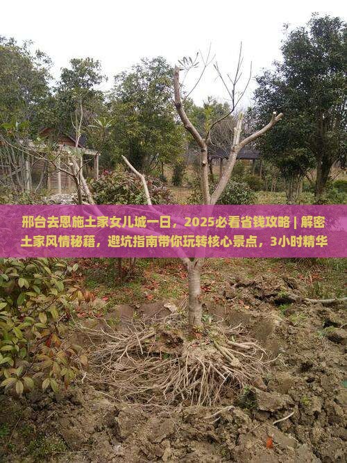 邢台去恩施土家女儿城一日