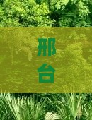 邢台到恩施土家女儿城一日