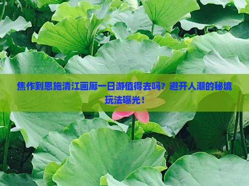 焦作到恩施清江画廊一日
