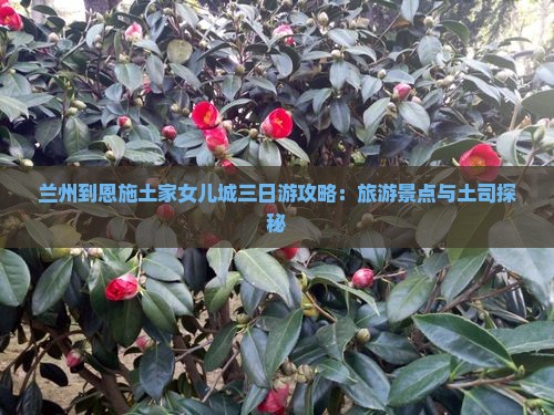 兰州到恩施土家女儿城三日游