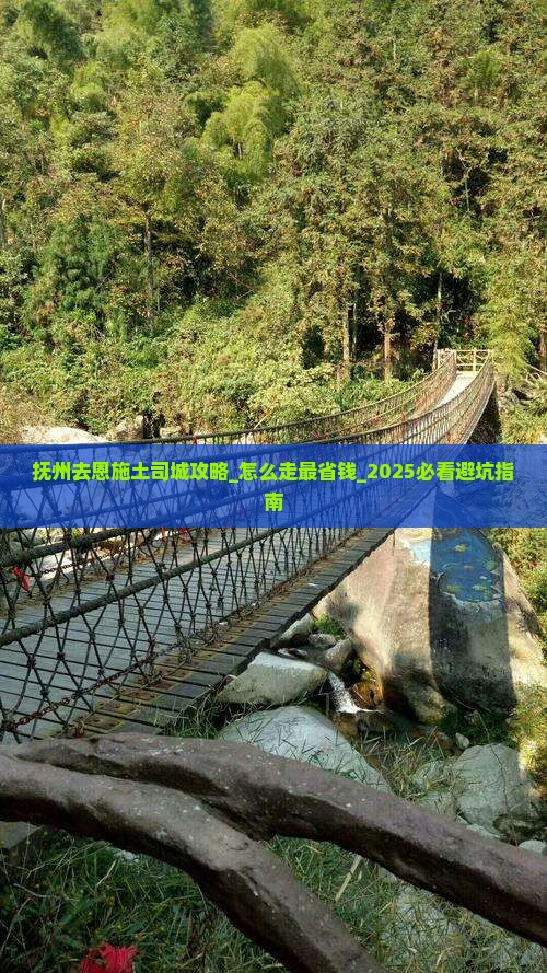抚州去恩施土司城攻略