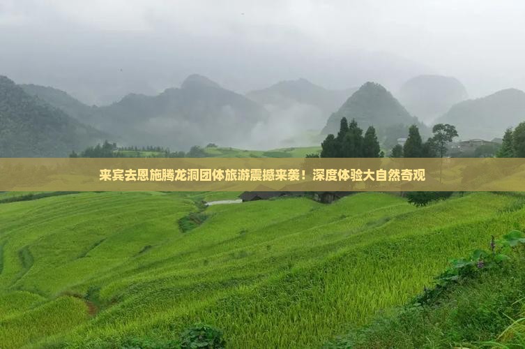 来宾去恩施腾龙洞团体旅游