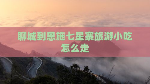 聊城到恩施七星寨旅游小吃