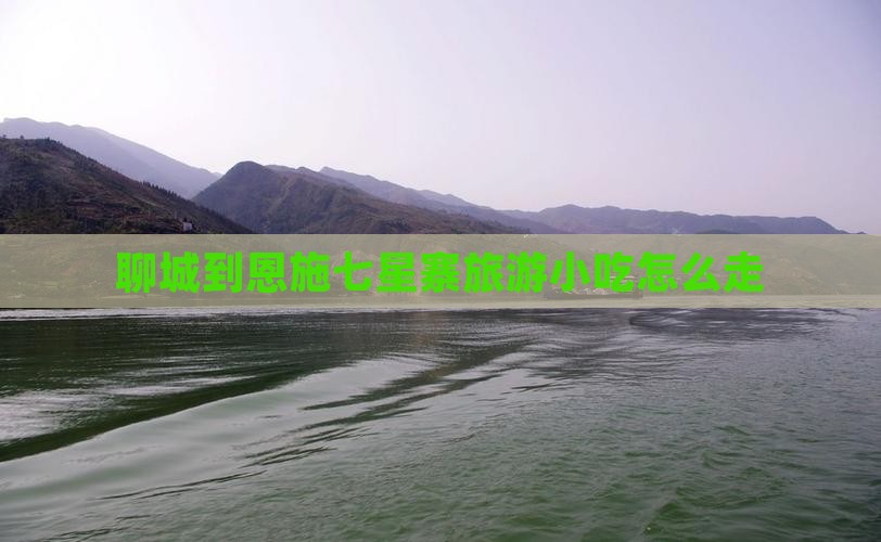 聊城到恩施七星寨旅游小吃