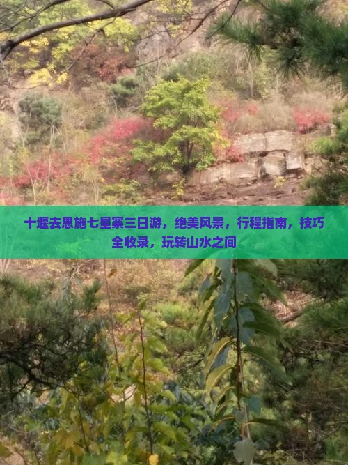 十堰去恩施七星寨三日游