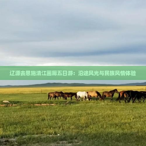 辽源去恩施清江画廊五日游：沿途风光与民族风情体验