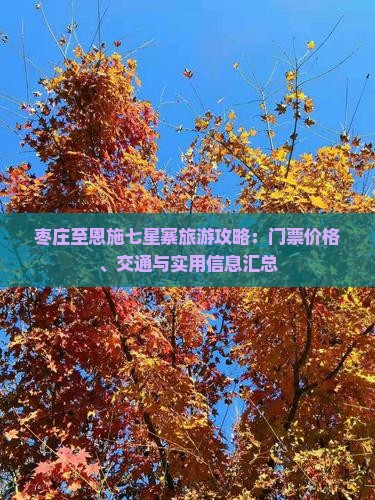 枣庄至恩施七星寨旅游攻略：门票价格、交通与实用信息汇总