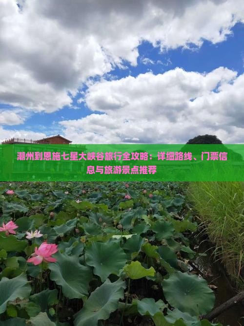 潮州到恩施七星大峡谷旅行全攻略：详细路线、门票信息与旅游景点推荐