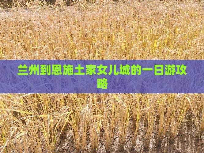 兰州到恩施土家女儿城的一日游攻略