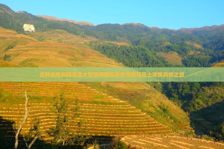 吉林去恩施腾龙洞大型旅游团探索自然奇观及土家族风情之旅