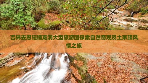 吉林去恩施腾龙洞大型旅游团探索自然奇观及土家族风情之旅