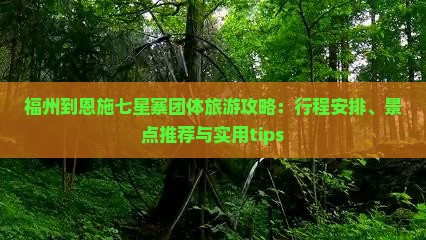 福州到恩施七星寨团体旅游攻略：行程安排、景点推荐与实用tips