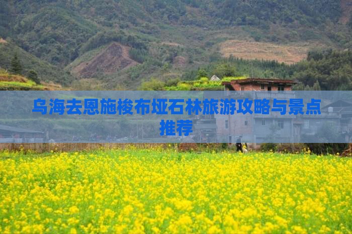 乌海去恩施梭布垭石林旅游攻略与景点推荐 乌海去恩施梭布垭石林旅游攻略与景点推荐