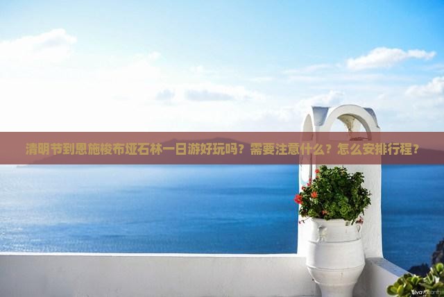 清明节到恩施梭布垭石林一日
