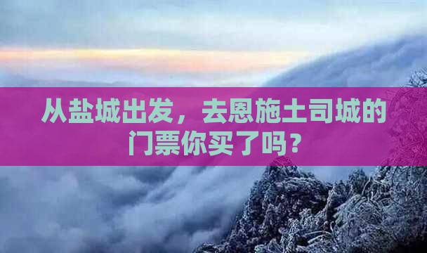 盐城到恩施土司城门票