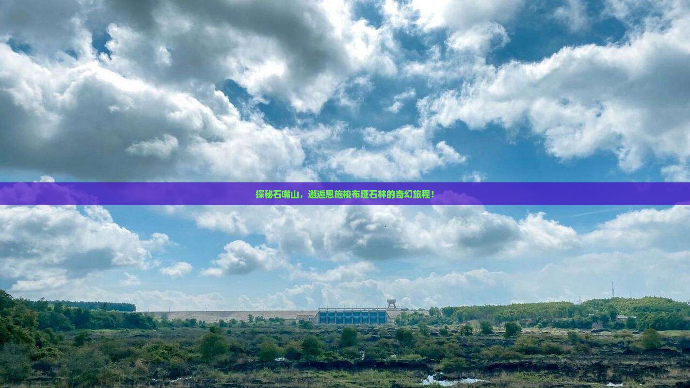 石嘴山到恩施梭布垭石林旅游