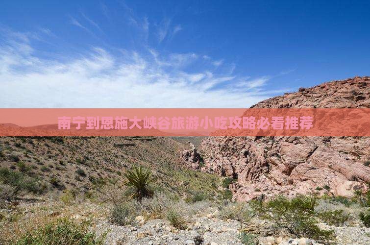 南宁到恩施大峡谷旅游小吃