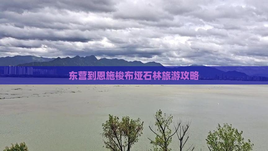 东营到恩施梭布垭石林自由团