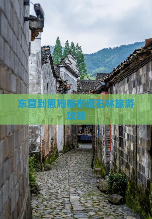 东营到恩施梭布垭石林自由团