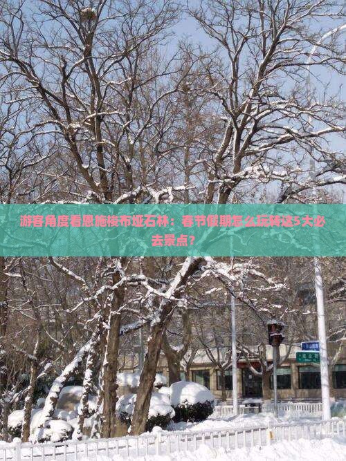 春节到恩施梭布垭石林必去地