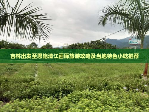 吉林到恩施清江画廊旅游小吃
