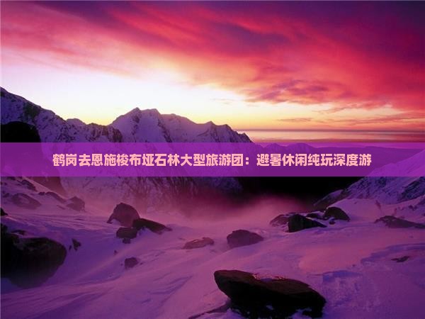鹤岗去恩施梭布垭石林大型旅游团
