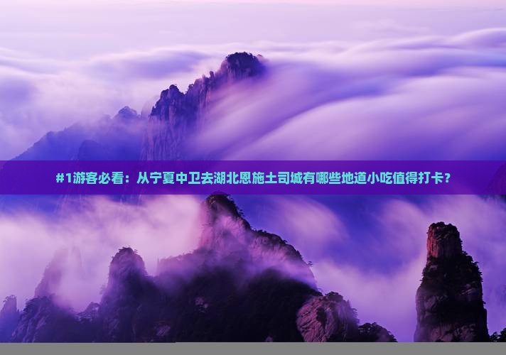 中卫到恩施土司城旅游小吃