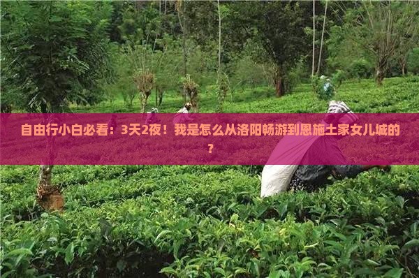 洛阳去恩施土家女儿城自由行