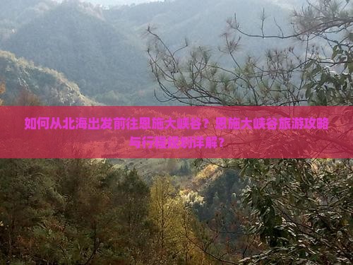 北海去恩施大峡谷攻略