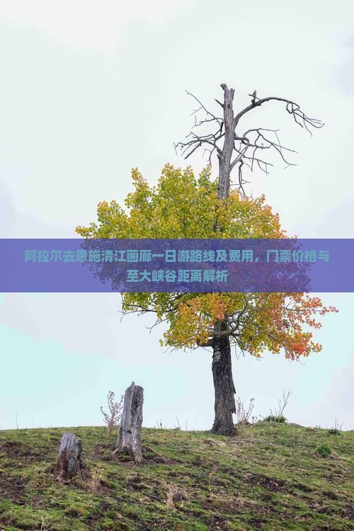 阿拉尔去恩施清江画廊一日