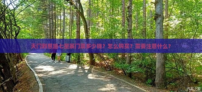 天门到恩施七星寨门票