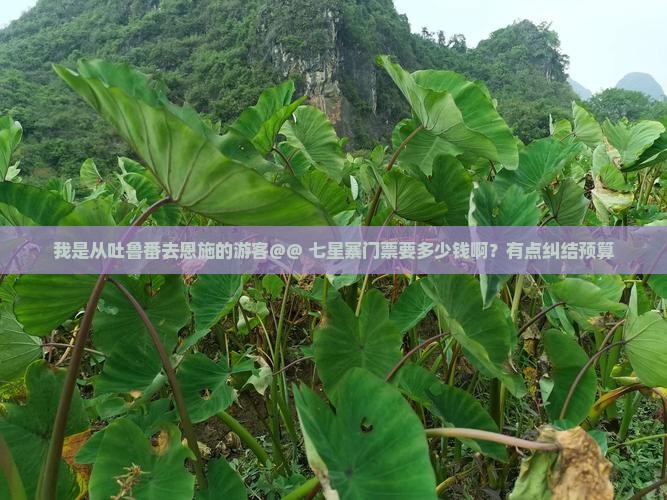 吐鲁番到恩施七星寨门票