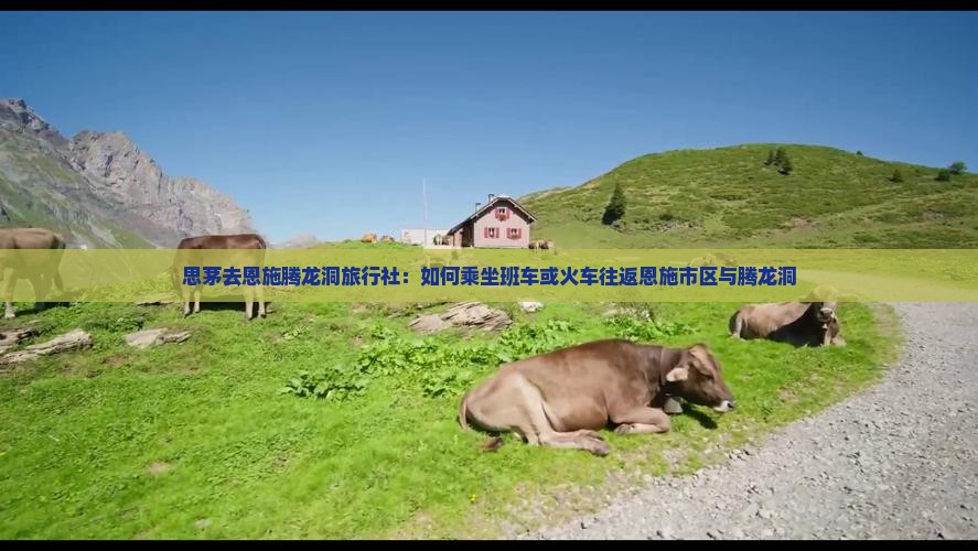 思茅去恩施腾龙洞旅行社