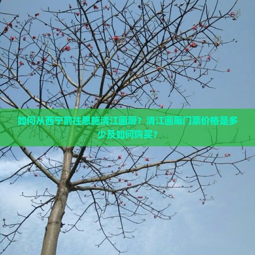 西宁去恩施清江画廊门票