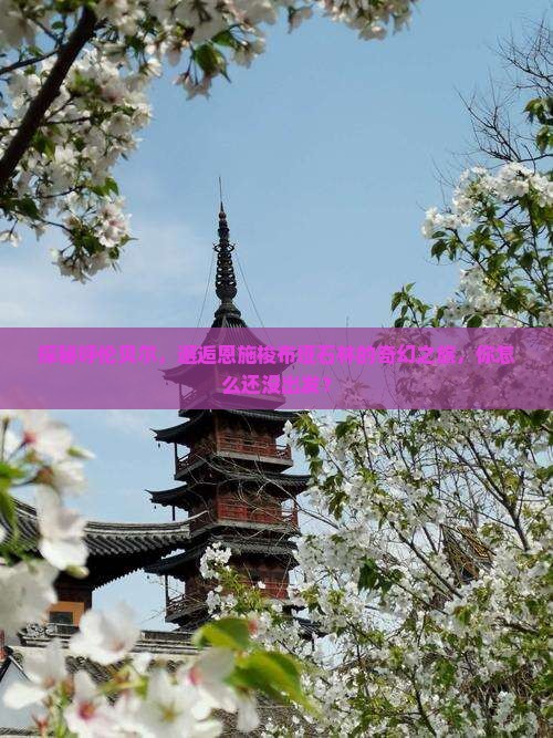 呼伦贝尔去恩施梭布垭石林攻略