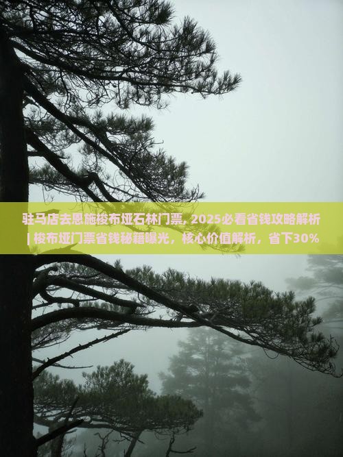 驻马店去恩施梭布垭石林门票