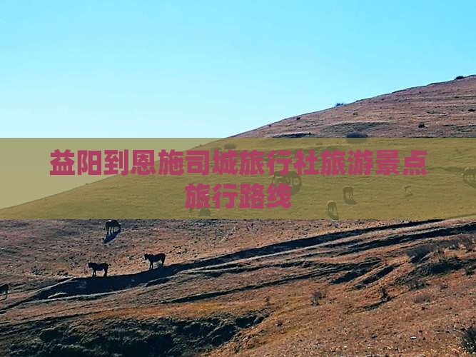 益阳到恩施土司城旅行社