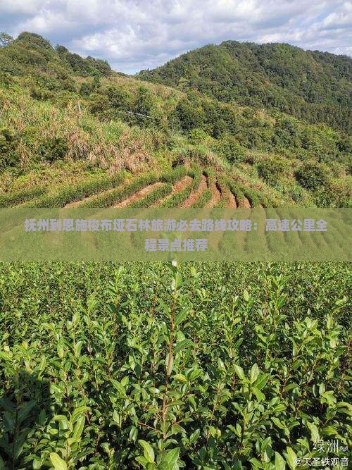 抚州到恩施梭布垭石林必去地