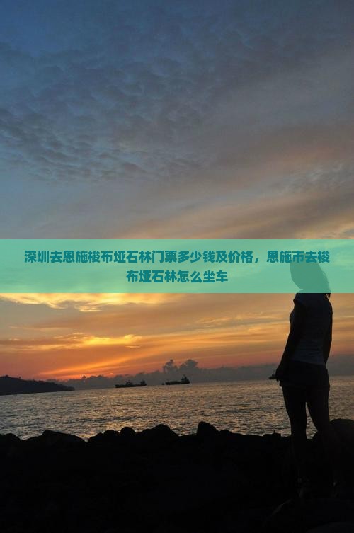 深圳去恩施梭布垭石林门票
