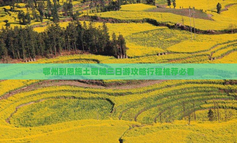 鄂州到恩施土司城三日游