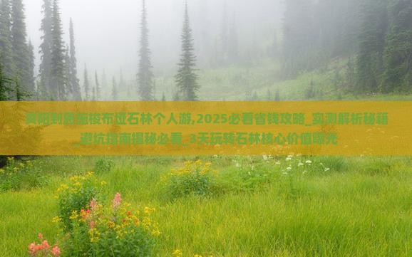 资阳到恩施梭布垭石林个人游